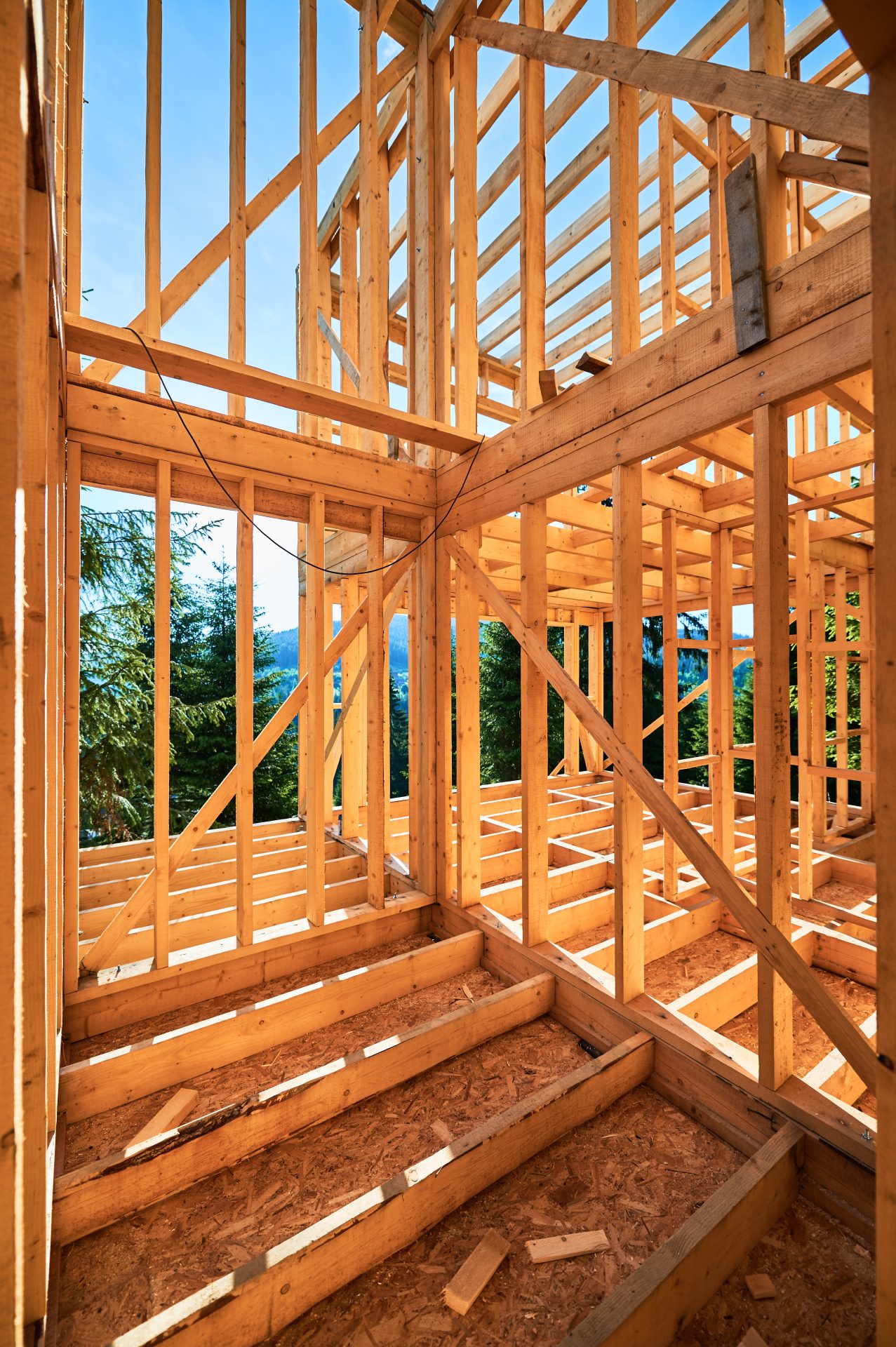 wooden-frame-house-under-construction-near-forest-2026-03-17-01-41-23-utc